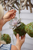 Making kokedama