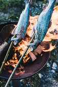 Fish being grilled on sticks
