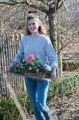 Woman carries board with hyacinths, crocuses and ray anemone