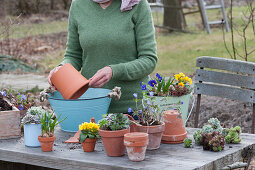 Plant a cake stand out of misused household containers