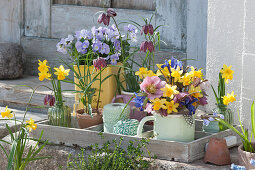 Frühlingsdekoration auf Holztablett: Narzissen, Hornveilchen, Schachbrettblumen, Lenzrosen und Netziris