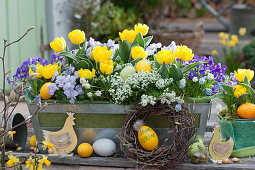 Balcony box with tulips, blue pillows, violets, grape hyacinths and scented oak richly decorated with Easter eggs and wooden chickens