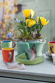Spring decoration with tulips and grape hyacinths in a felt coat