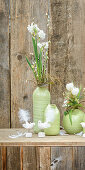 Spring flowers in green vases in front of rustic wooden wall