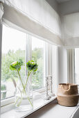 Ornamental cabbages in glass vase and basket on windowsill of window with white Roman blinds