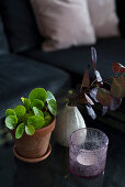 Tealight holder, houseplant in terracotta pot and vase of leaves arranged on coffee table