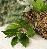 A sprig of bay leaves next to a wicker basket