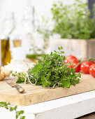 A bunch of fresh oregano on a wooden board