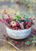 Metal bowl filled with haws, apples, Savoy cabbage and heather