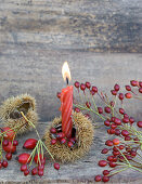 Sweet chestnut case used as candle holder decorated with rosehips