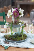 Blüten von Christrose und Lenzrose mit Schneeglöckchen in selbstgebauter Etagere