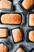 Mini white bread loaves in tins