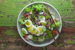 Mixed leaf salad with tuna and egg