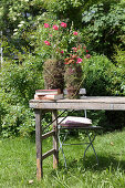 Sommerblumen in dekorativ umwickelten Gefäßen auf Holztisch im Garten
