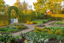 Vegetable garden in morning sun (district teaching garden, Steinfurt, Germany)