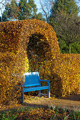 Blaue Gartenbank vor herbstlicher Buchenhecke (Kreislehrgarten, Steinfurt, Deutschland)