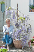 Woman is sitting next to blooming wisteria