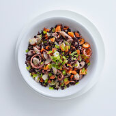 Schwarzer Reis-Salat mit Oktopus, Staudensellerie, Möhren und Zwiebel