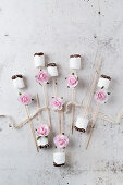 Marshmallows with chocolate, and sugar and flower decorations (wedding, birthday)