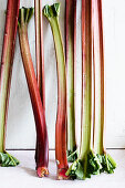 Rhubarb stalks