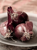Red onions on a plate