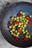 An antique collander filled with red currants and gooseberries