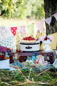 Picnic on old-fashioned suitcase
