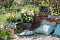 Terrace with daffodils, horned violets, hyacinths, mossy saxifrage, and gold lacquer