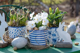 Oster-Arrangement mit Traubenhyazinthen, Hornveilchen und Tulpen in blau-weißen Töpfen