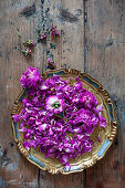 Roses drying on antique plate