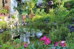 Teich im Garten