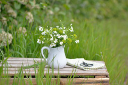 Chickweed and spurges in a white jug