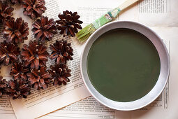 Pine cones and bowl of green paint on book pages