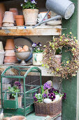Stiefmütterchen und Kranz aus Buchenzweigen am Regal mit Gartenzubehör