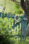 Wreath of fruit blossom on weathered green garden gate