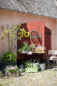 Blumen, Pflanzen und Vintage-Deko auf dem Hof vorm roten Scheunentor