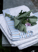 A bunch of sage leaves and geraniums on towels with striped trim