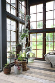 A hanging basket and a balloon bottle in a glass house