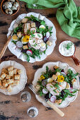 Salat mit Hähnchen, Rote Bete und Wachtelei