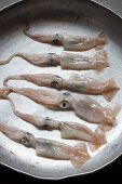 Frische Tintenfische in einer Paellapfanne