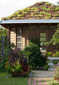 Garden house with green roof, shell with summer plants