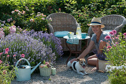 Wicker armchair on the flower bed with lavender, Persian rose and echinacea, woman playing with the dog Zula