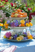 Cake stand with colourful flowers and apricots as table decoration