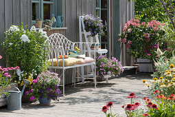 Sommerterrasse mit Flammenblume, Petunien, Zauberglöckchen, Elfenspiegel, Scheinsonnenhut und Rispenhortensie 'Diamond Rouge'