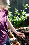 Self-made raised bed from pallets