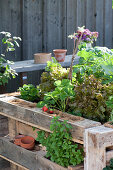 Self-made raised bed from pallets