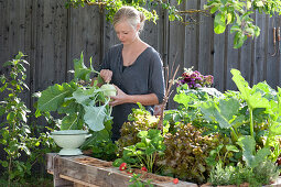 Self-made raised bed from pallets