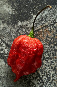 Carolina Reaper chilli pepper with a stem
