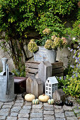 Autumn decoration with hydrangea, pumpkins and decorative elements