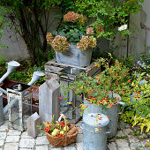 Herbstliche Deko mit Hagebutten, Zinkgefäßen und Hortensie